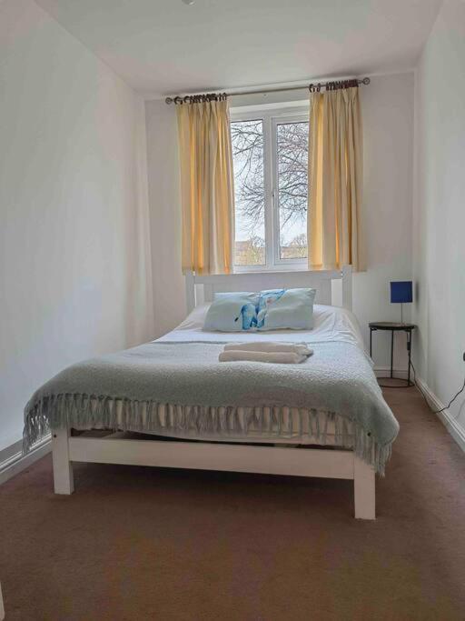 3 Bedroom Flat 10 Mins Walk To Bay And City Center Free Parking Cardiff Extérieur photo